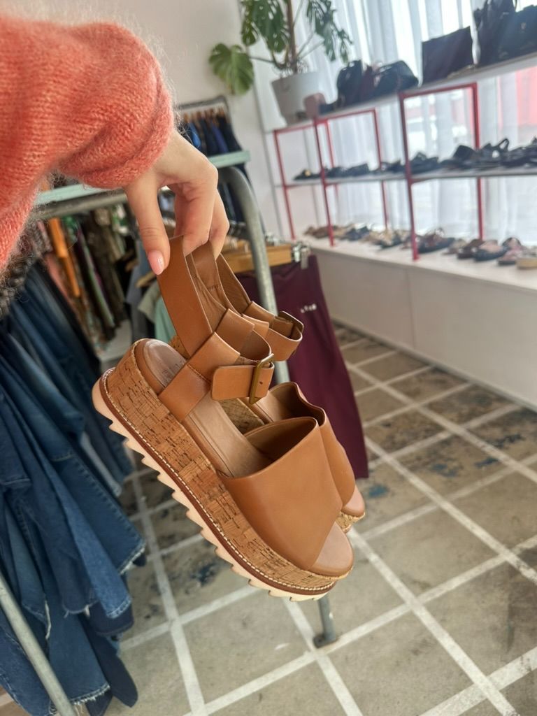 ELK Wedge, 39