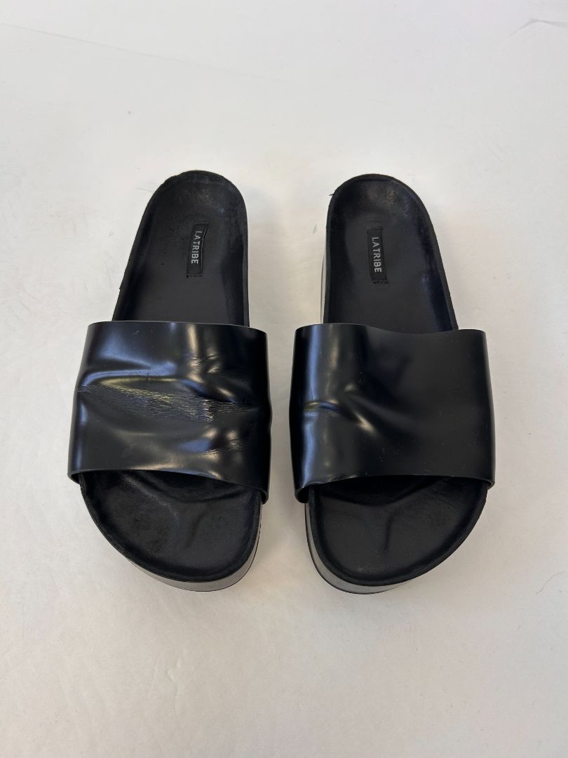 La Tribe Sandels, 39