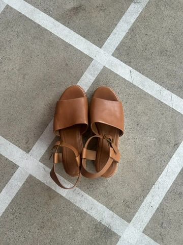 ELK Wedge, 39