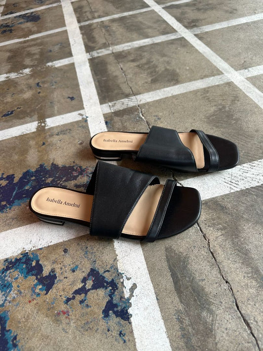 Isabella Anselmi Sandels, 41